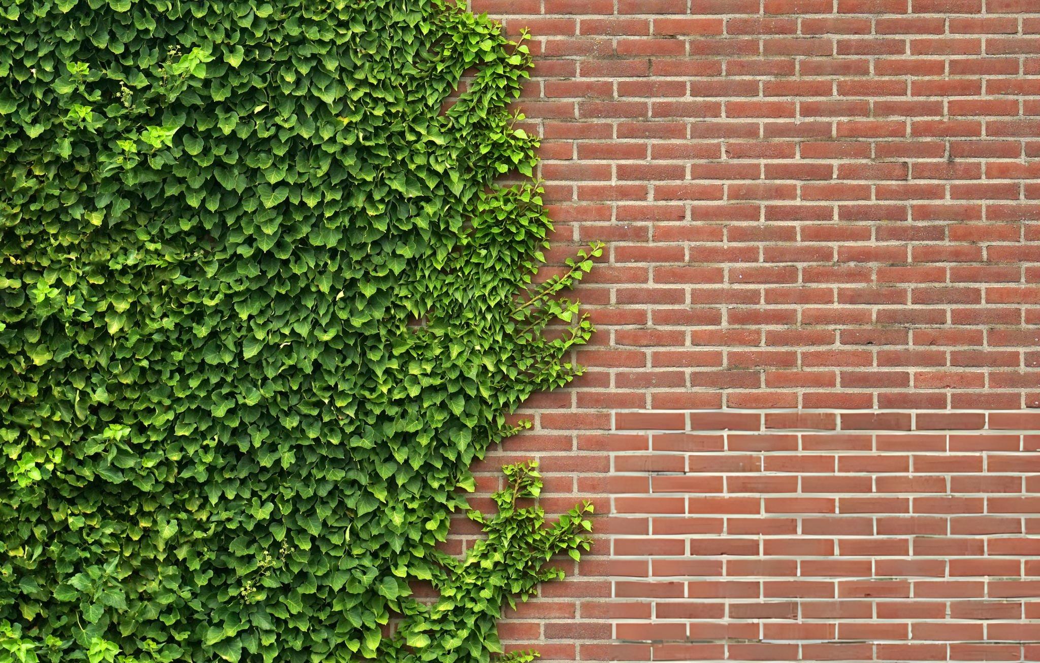Party Wall Matters